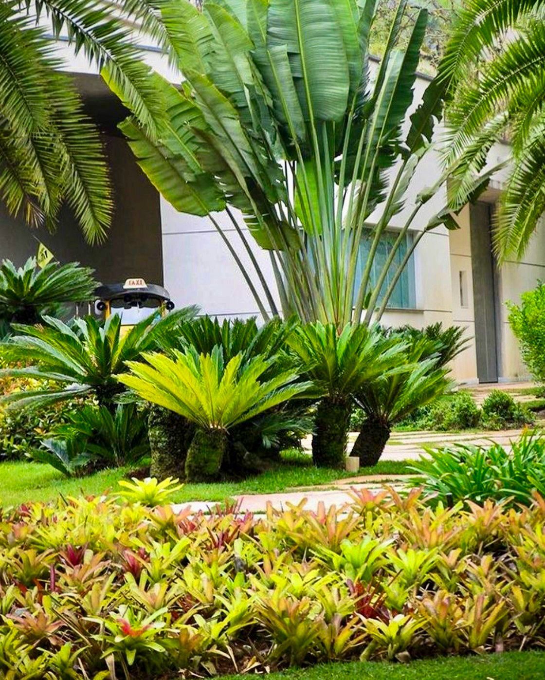 Tropical Landscape Design