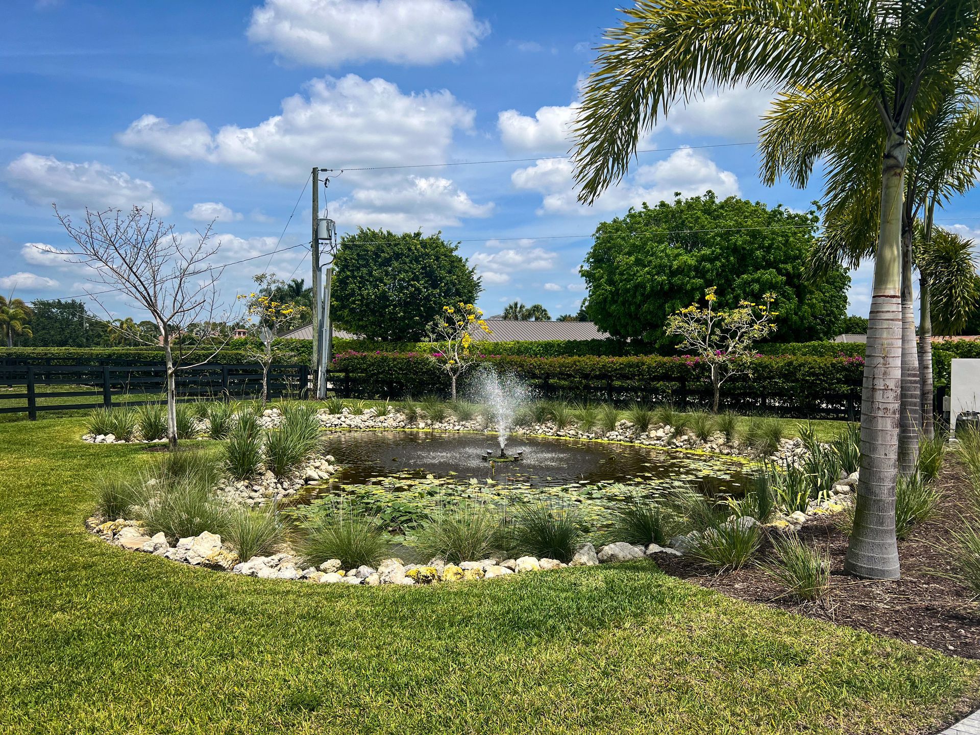 Water feature with grasses