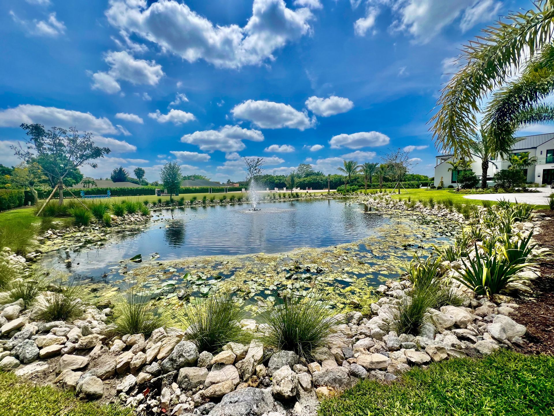 Wellington home with pond feature, landscaping and palm trees.