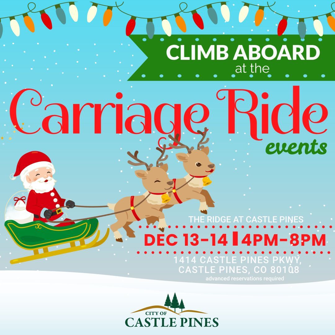 A poster that says party in the park on it