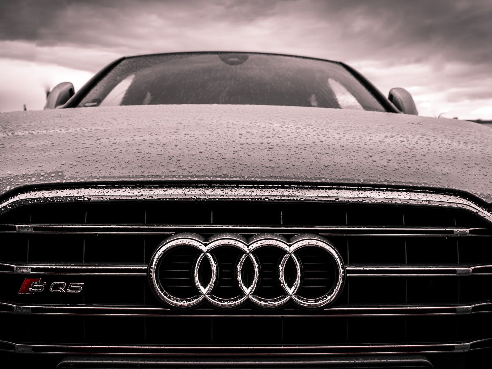 Close-up view of an Audi RS grille with the brand's iconic four-ring emblem under a cloudy, overcast sky.