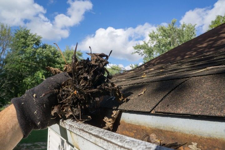 gutter cleaning