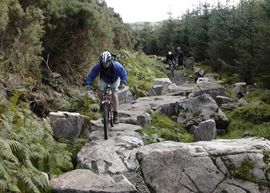 MTB Mountain biking holidays on the 7Stanes route in Scotland