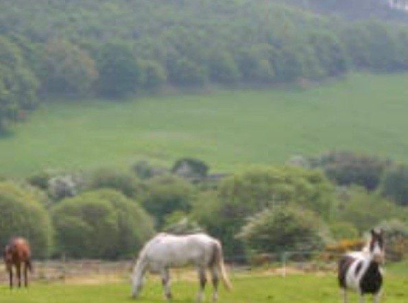 Horse Holidays Dumfries Galloway Scotland