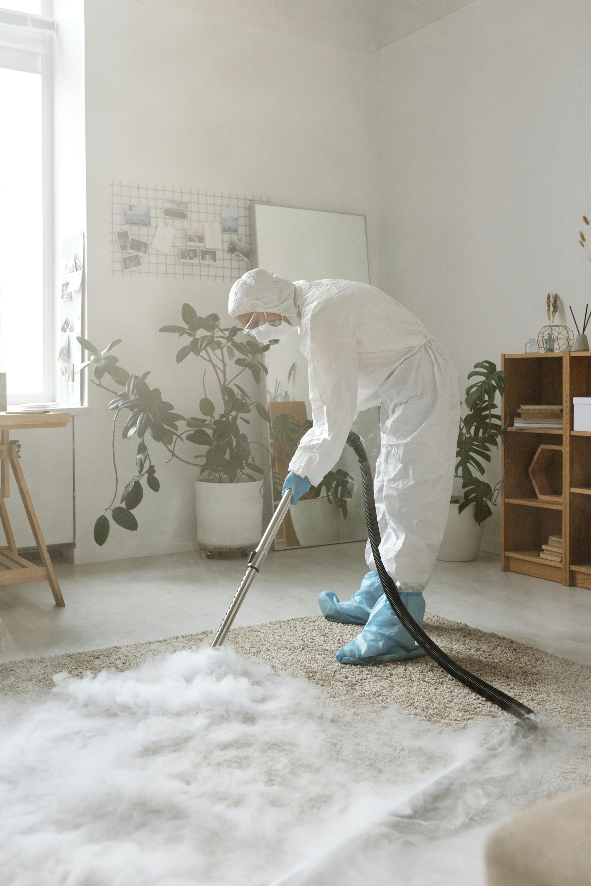 Professional cleaner in suit steam-extracting beige rug, removing stains, odors, allergens
