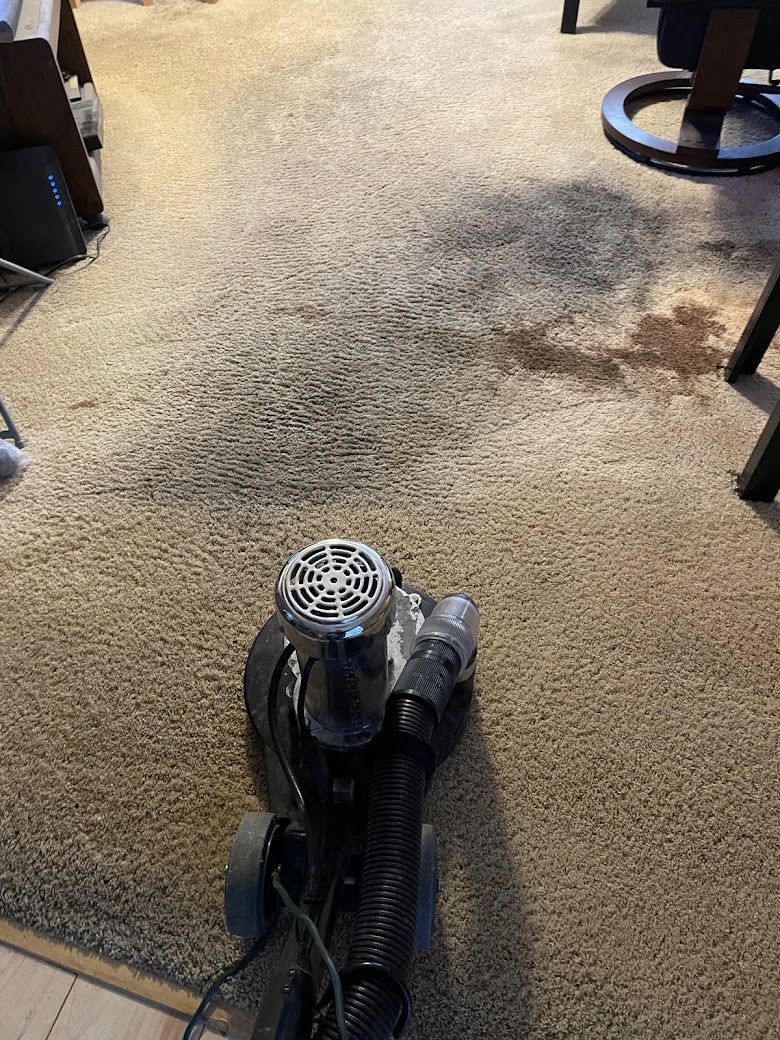 A vacuum cleaner is sitting on top of a carpet in a living room.