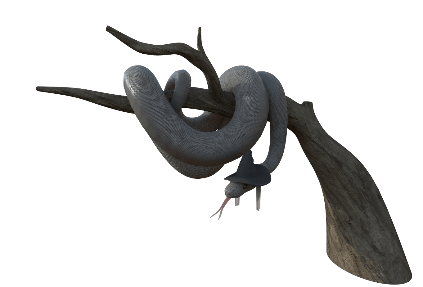 Snake with a witch hat