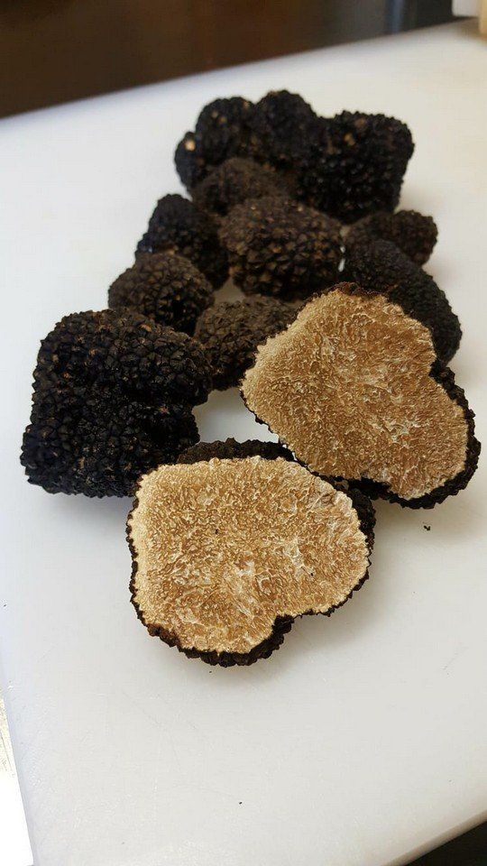 piatto del ristorante