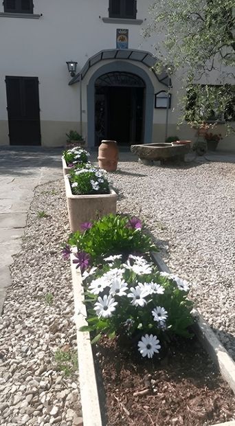 tavolo ristorante