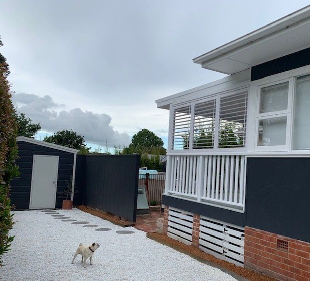 Dog Outside The House — Co-ordinations Blinds & Awnings in Falls Creek, NSW