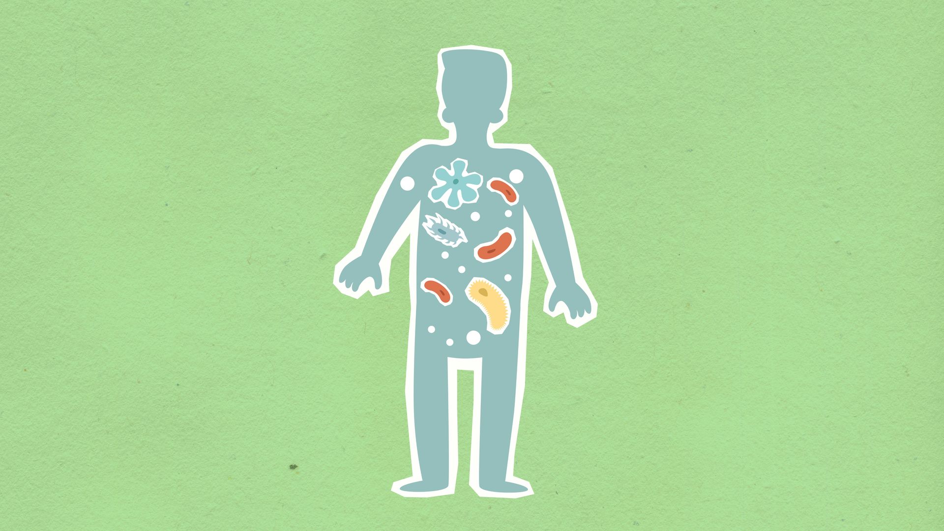 Human figure with microbes inside, shown in various shapes and colors against a green background.