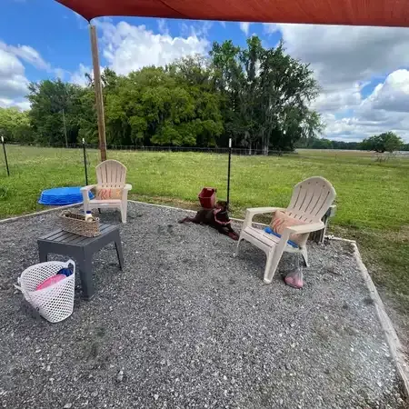 Two beige chairs and a small table under a canopy on a gravel patio, with a dog laying nearby, and a sunny field in the background.