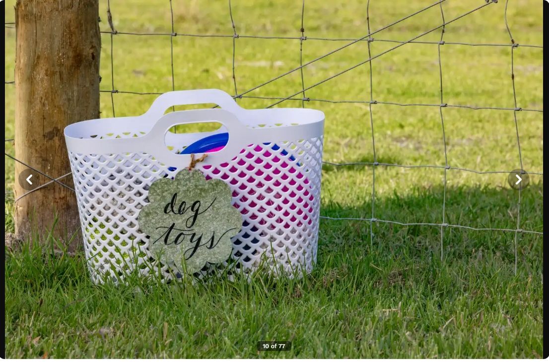 White basket of dog toys on grass by a fence, with a 