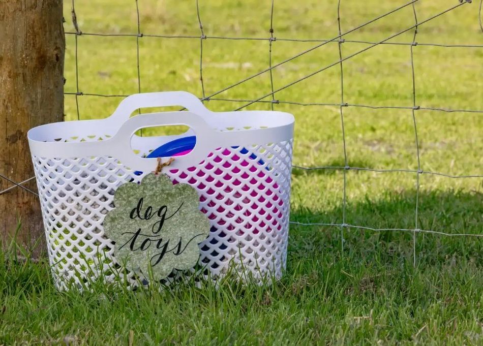 White basket labeled 