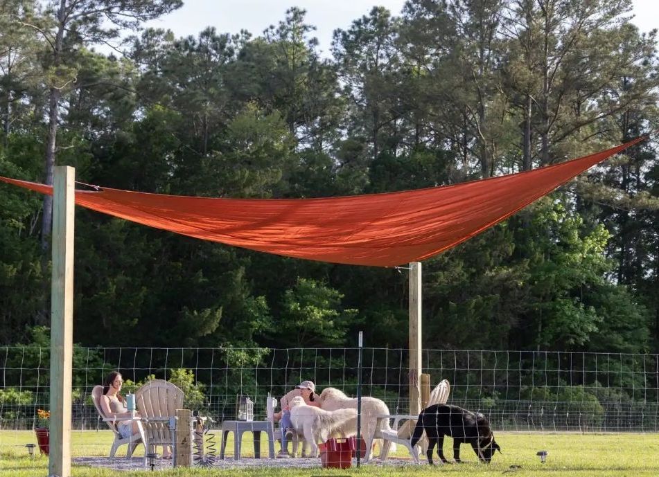 People and alpacas under a red shade sail in a grassy area. Trees in the background.