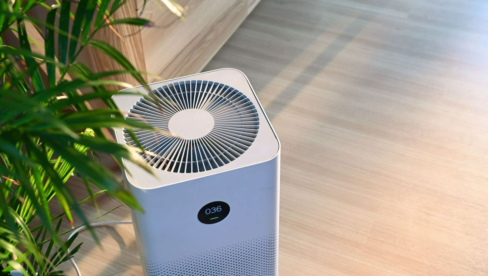 Air Purifier Beside the Plant - Mohave County, AZ - Air-Exx Heating Cooling and Ventilation LLC 
