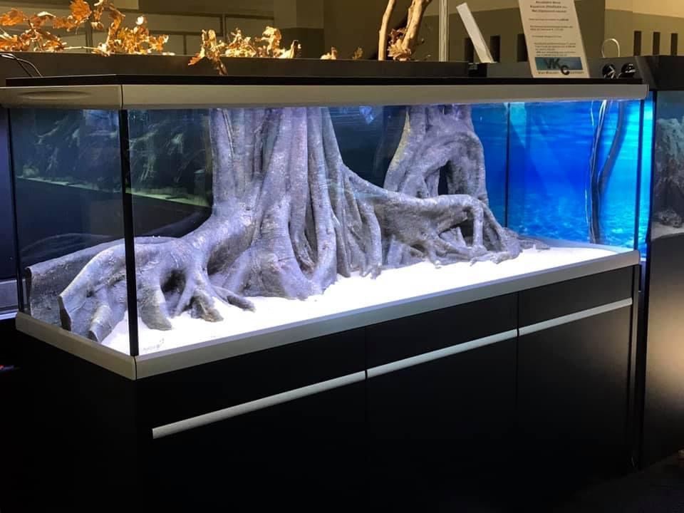 Een groot aquarium met een boom op de achtergrond.