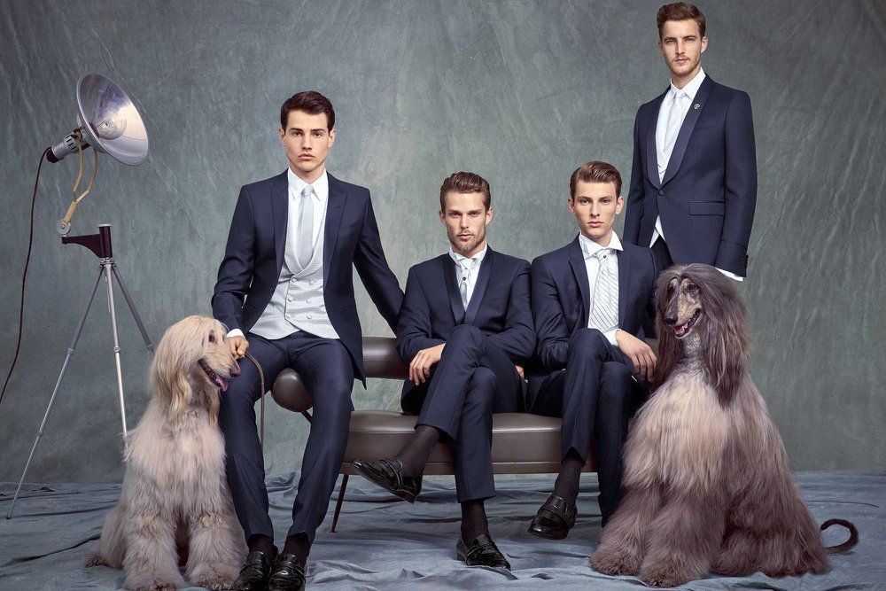 quattro modelli in abiti da sposo con due alani afgani