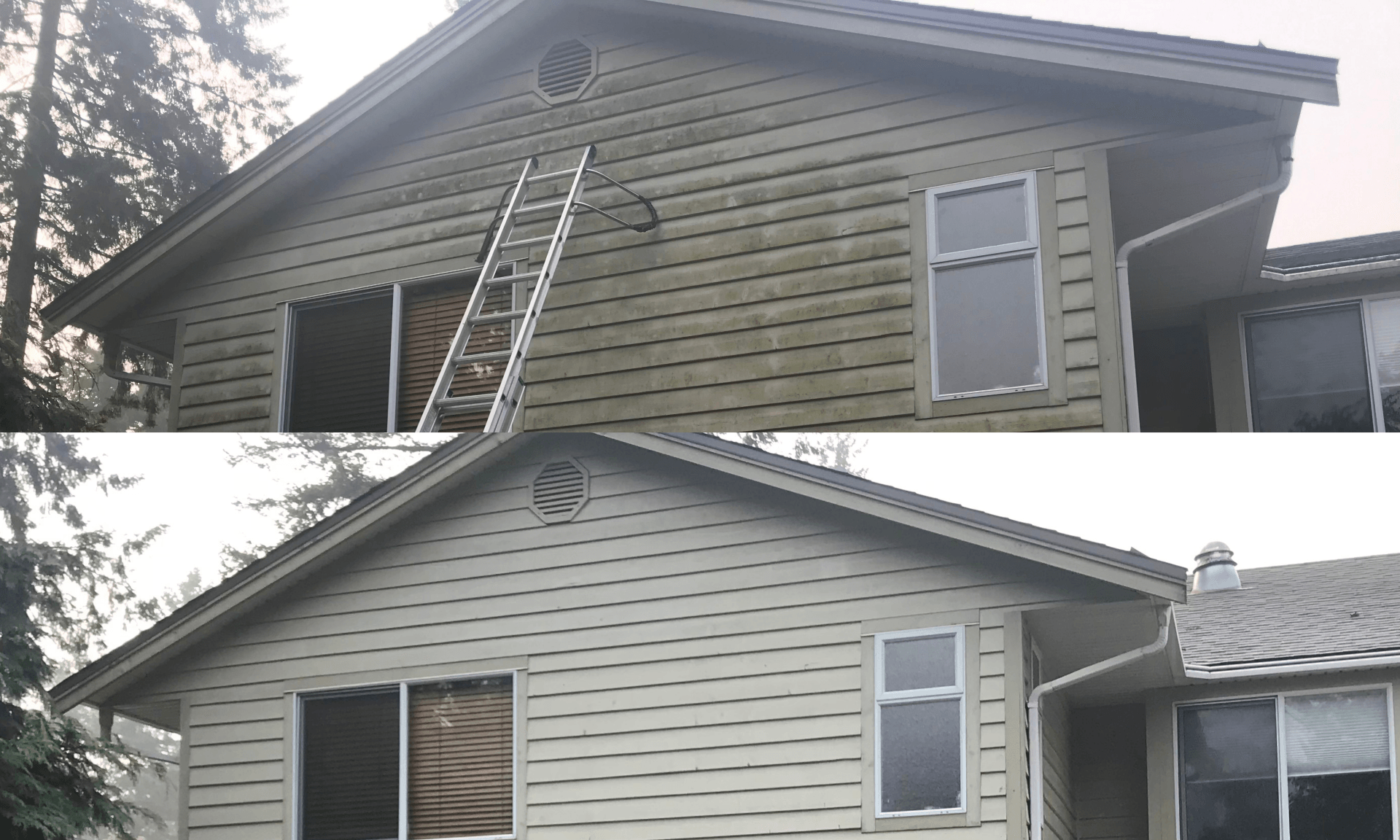 Property Washers Explain the Dangers of Mold and Mildew