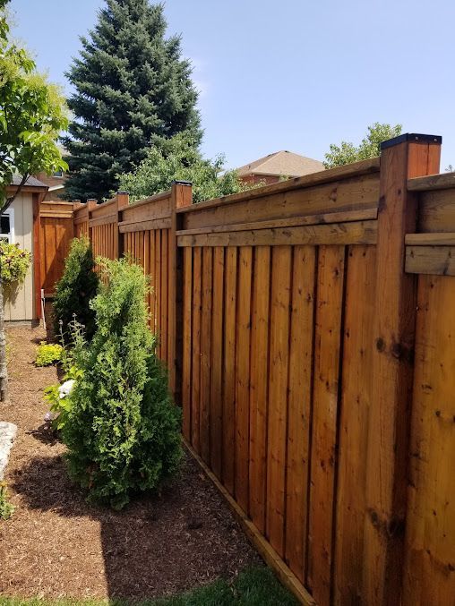 A wooden fence is surrounded by bushes and trees in a backyard.