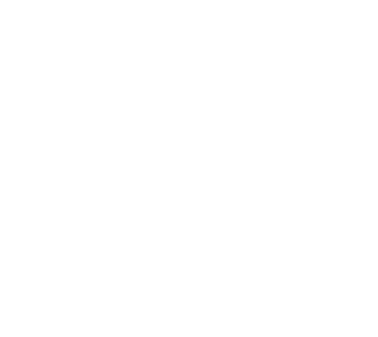 Freestone SEO, Jackson Hole Wyoming SEO, San Antonio SEO, Search Engine Strategy