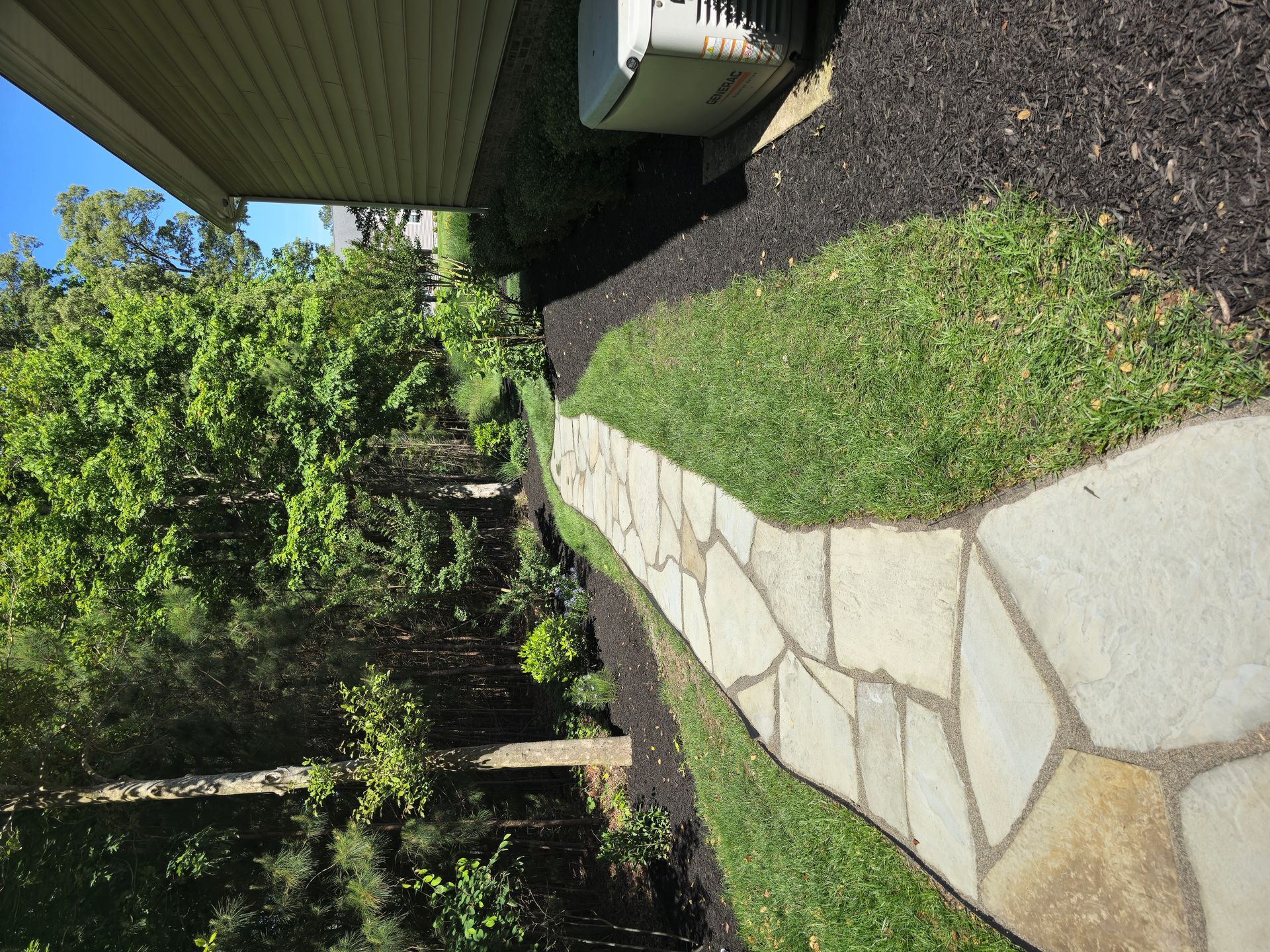 A stone walkway leading to a house surrounded by trees