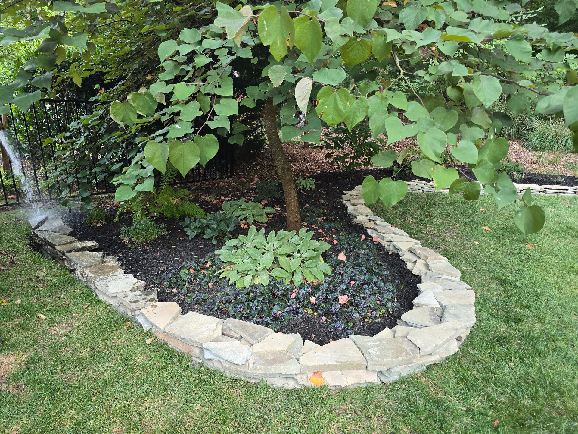 A tree in a garden with a stone border around it.