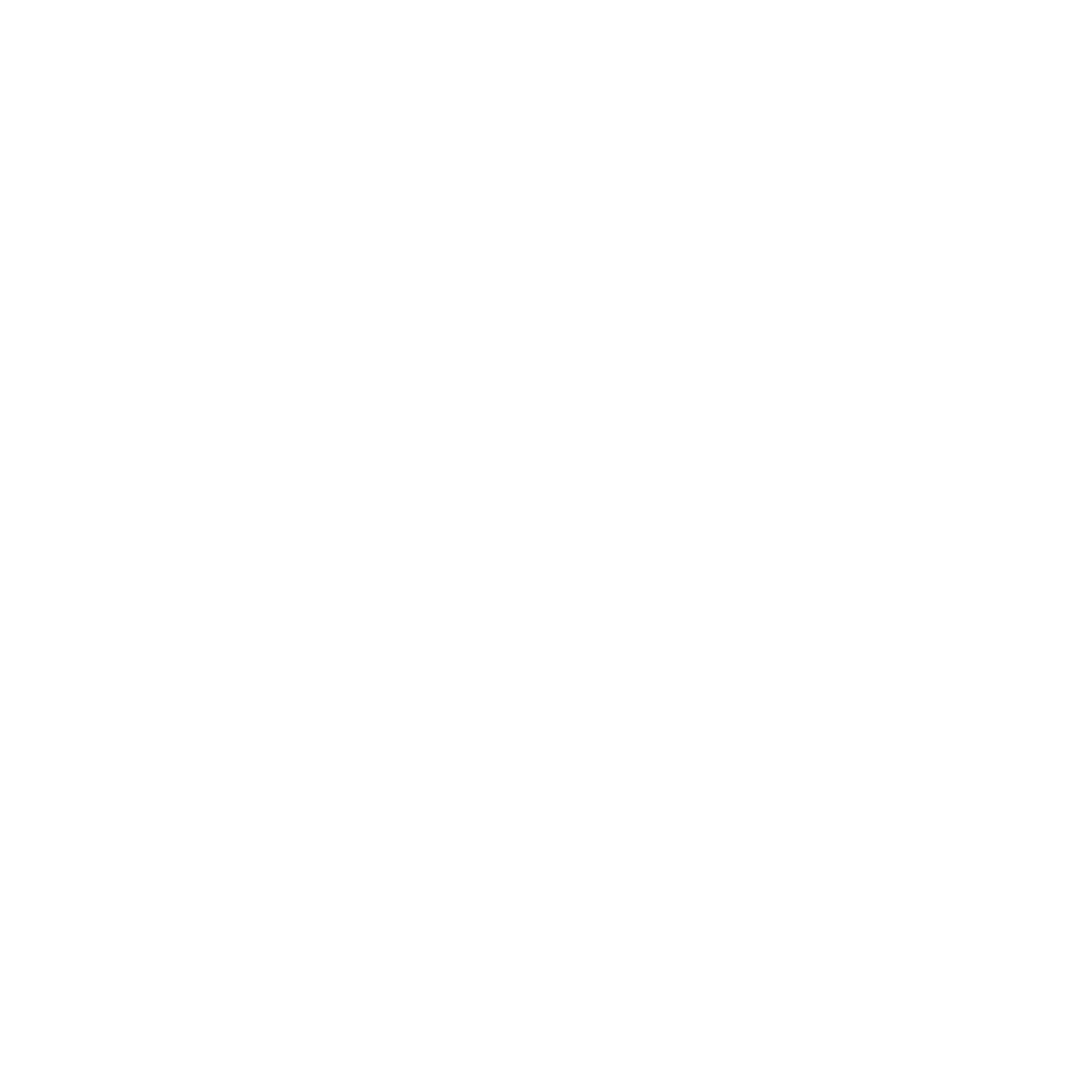 Empty white background.