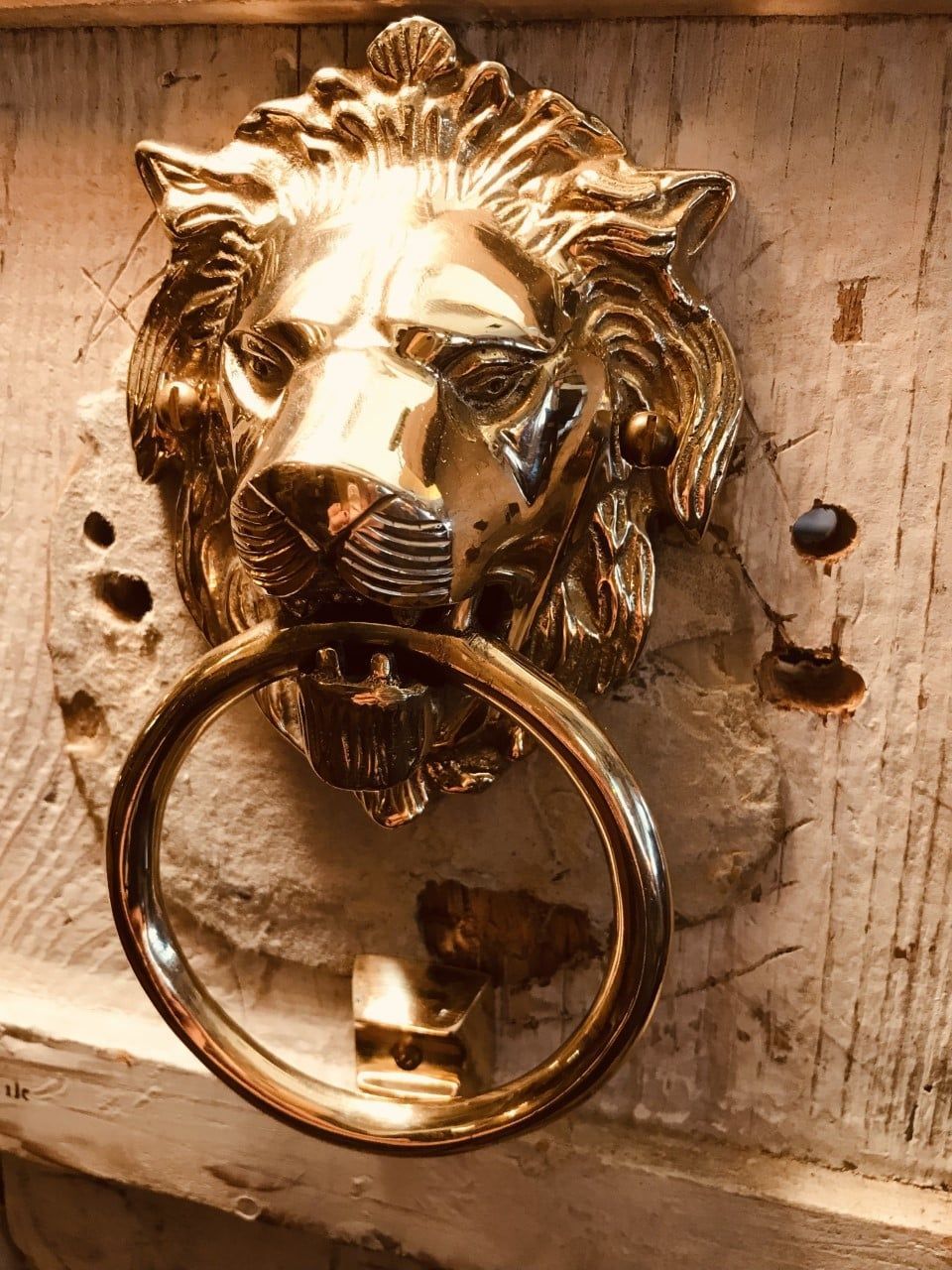 Brass lion head door knocker with ring on weathered wooden door.
