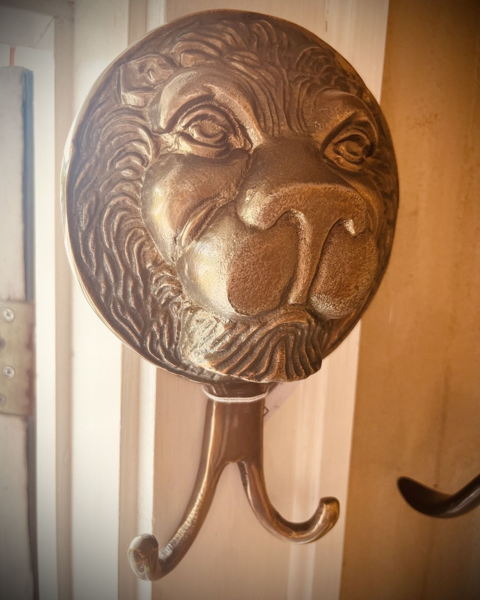 Lion head wall hook, bronze, mounted on a white door.