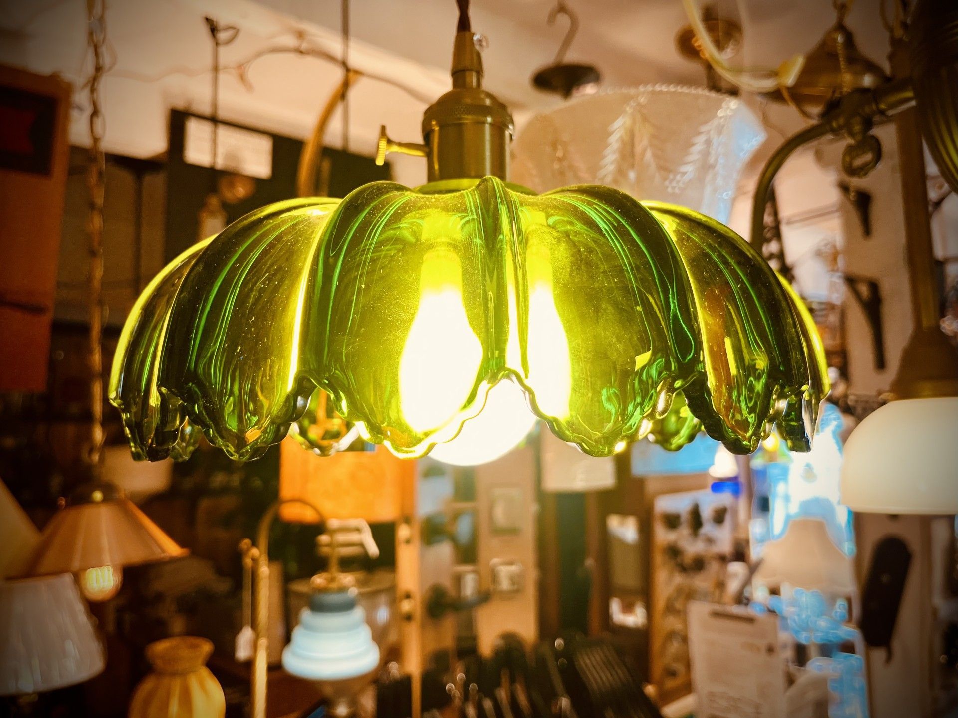 Green glass pendant lamp with flower-like petals, in a shop filled with various light fixtures.