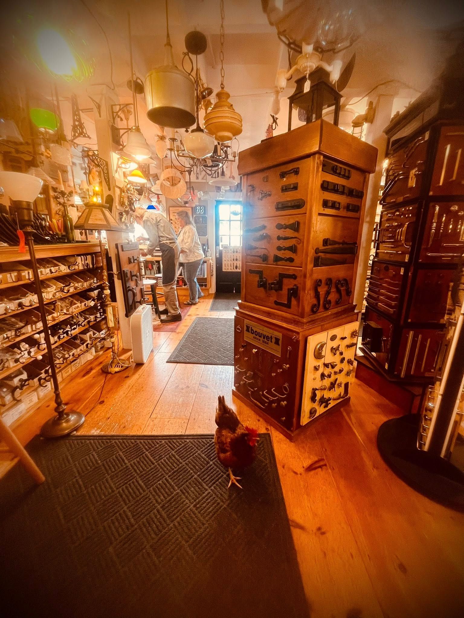Interior of shop filled with lamps; a chicken stands on the floor.