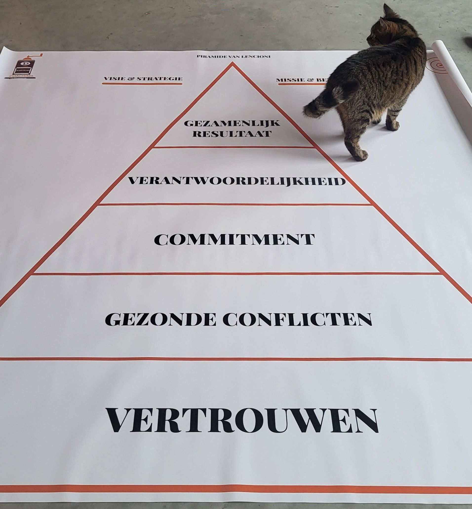 Piramide van Lencioni en effectief samenwerken