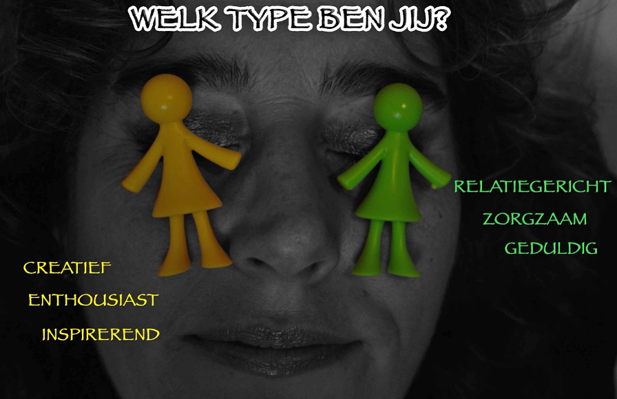 DISC in teams voor meer begrip