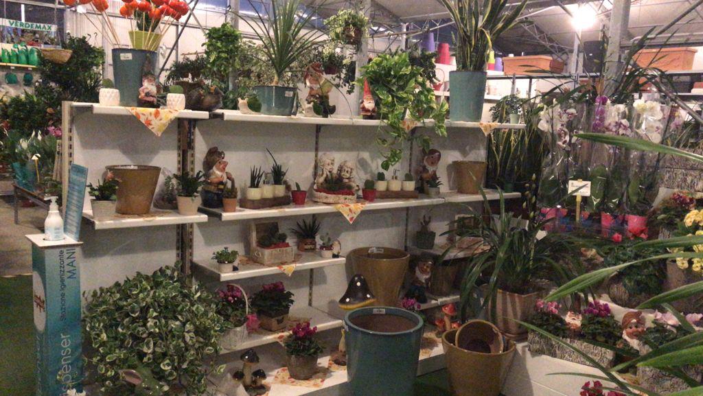 piante e prodotti da giardino