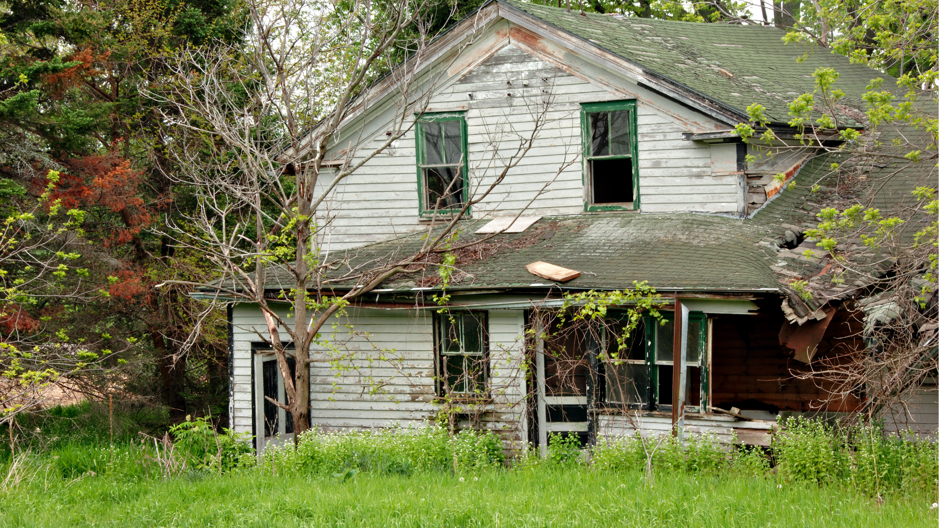 distressed property clean up