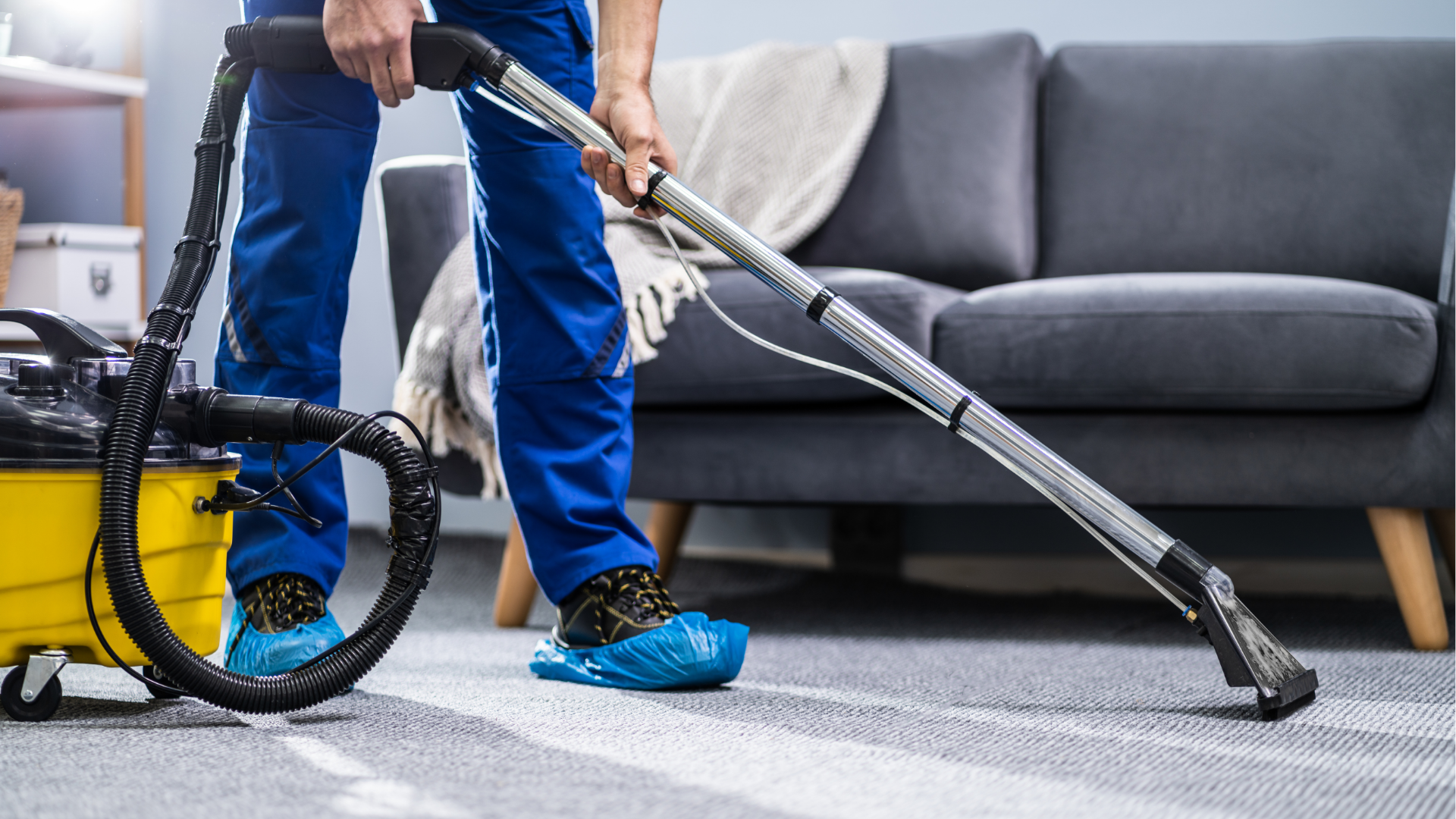 carpet cleaning and stain removal