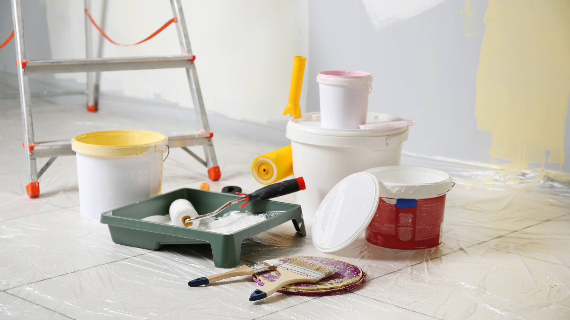 paint and old paint can removal/disposal