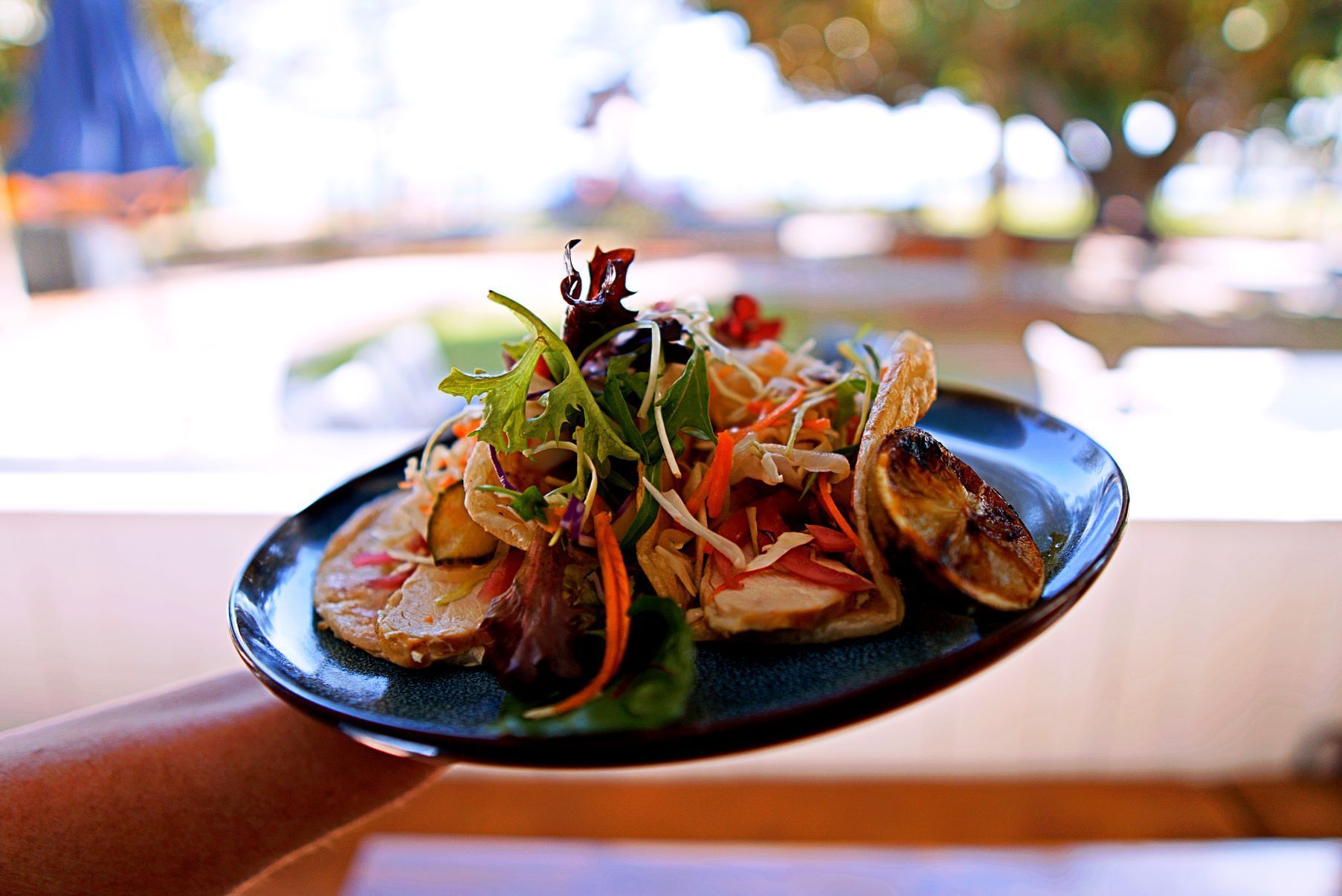 A Person is Holding a Plate of Food With a Salad on It — Chop 'n Chill South West Rocks in South West Rocks, NSW