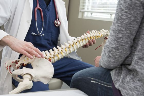 Chiropractic Physicians & Chiropractors at the Grappin Clinic chiropractic-physicians-sarasota-bradenton-north-port-venice-riverview-port-charlotte