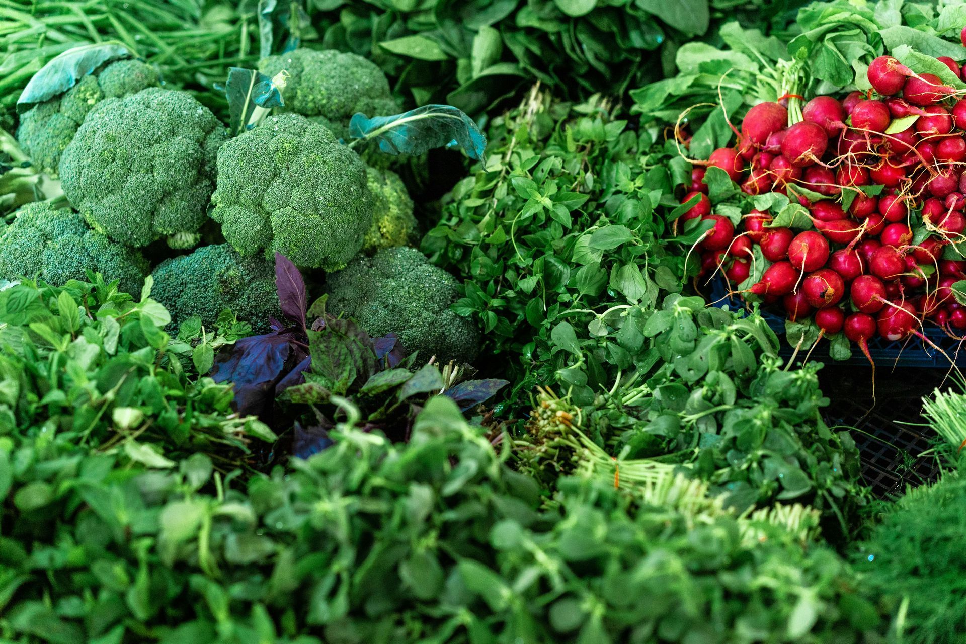 healthy-weight-loss-diet-foods