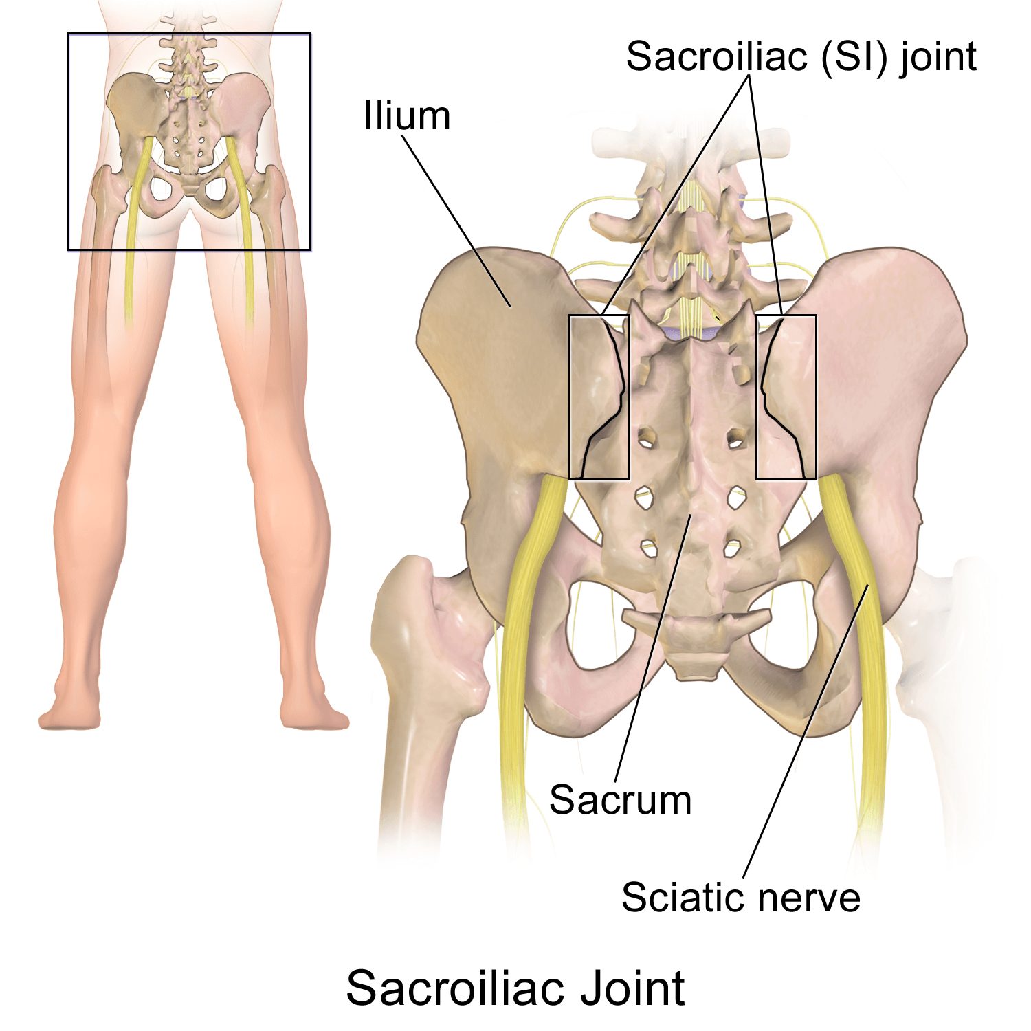 sciatic-nerve-pain-treatments
