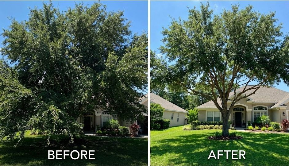 before and after image of tree trimming in Spokane Valley WA