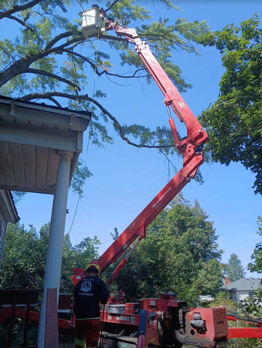 Tree removal Spokane using crane for dangerous tree removal