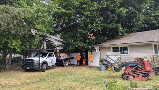 A1 Tree Service Spokane Washington