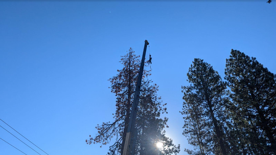 Tree removal with crane in Spokane WA