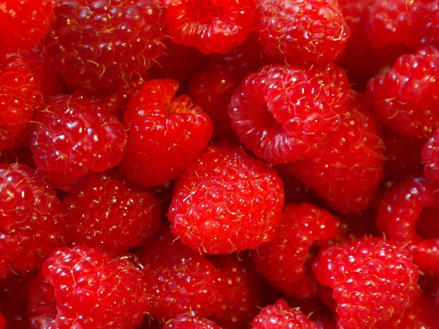 Un gros plan d'un tas de framboises sur une table