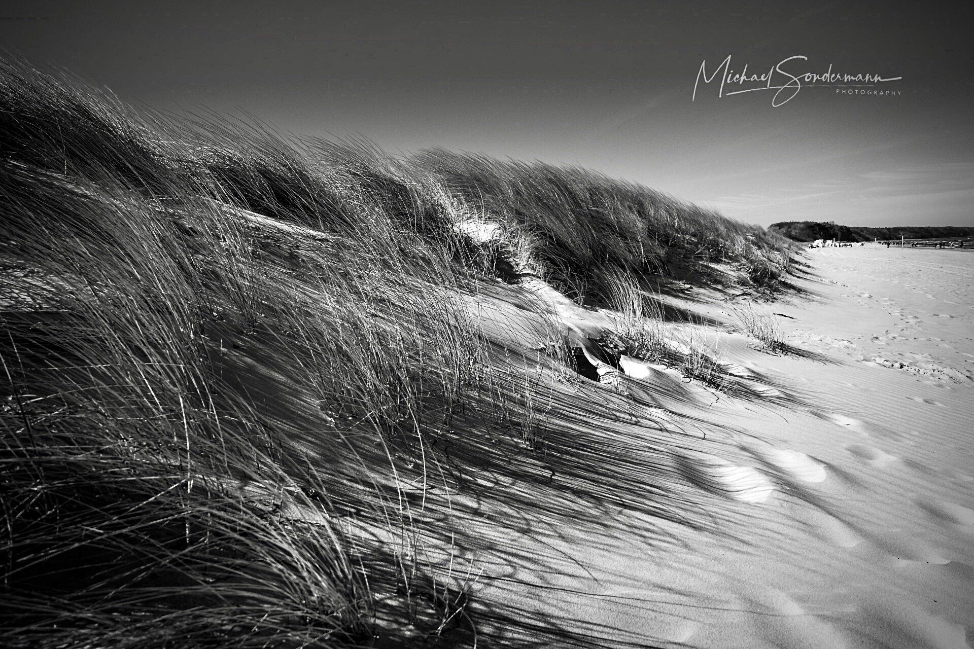 Ein schönes Sanddünen Foto von der Nordsee in einer schwarz weiss Optik.