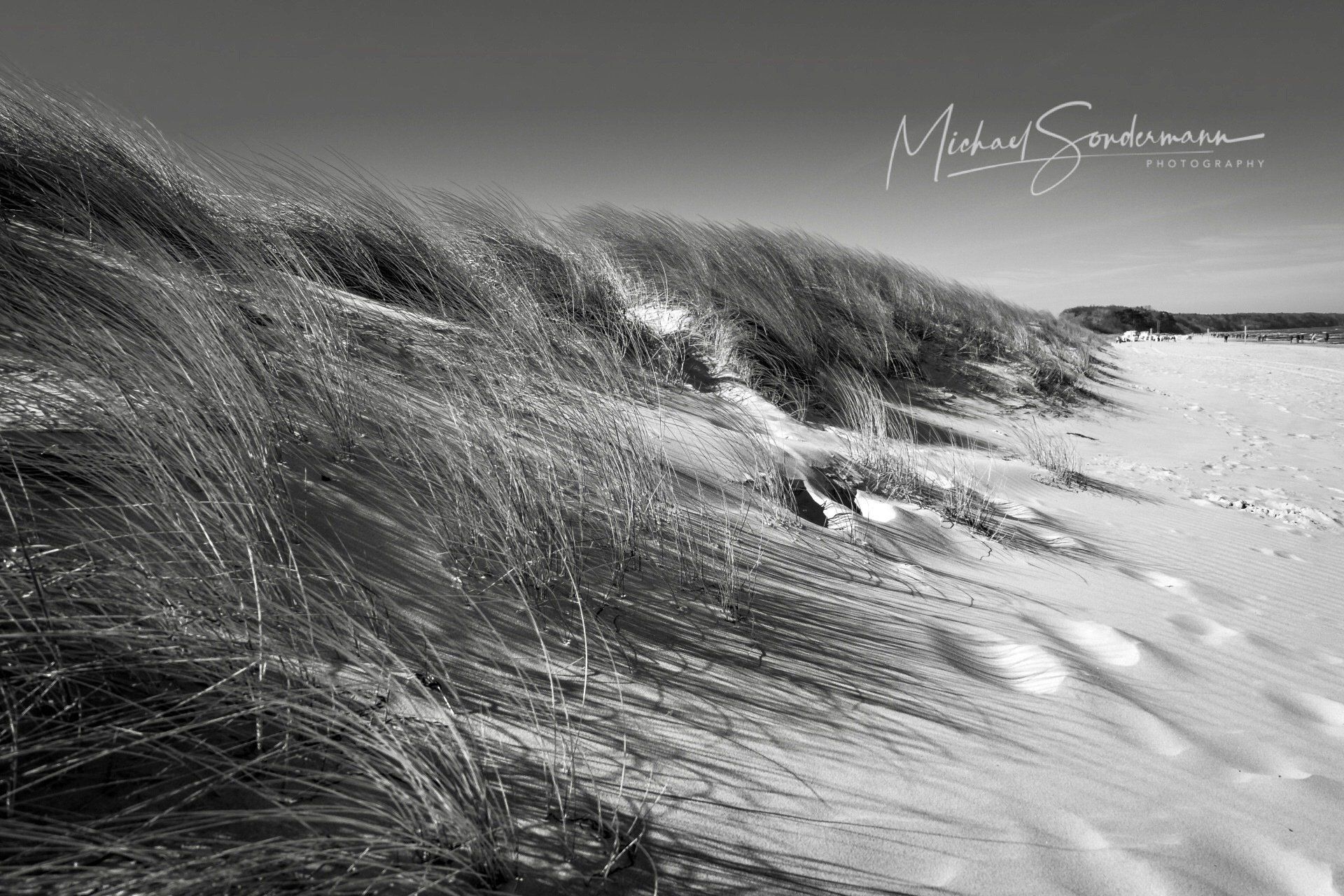 Ein Blick auf die Sanddünen an der Nordsee in schöner schwarz weiß Optik.