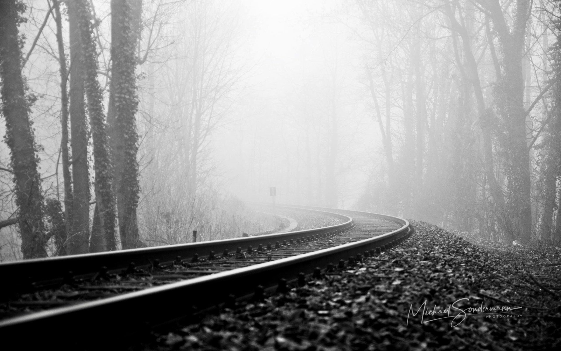 Alte Bahngleise die im Nebel durch den Wald schlengeln.
